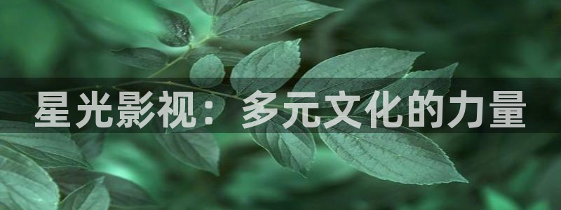 奇米影视777第四色：星光影视：多元文化的力量